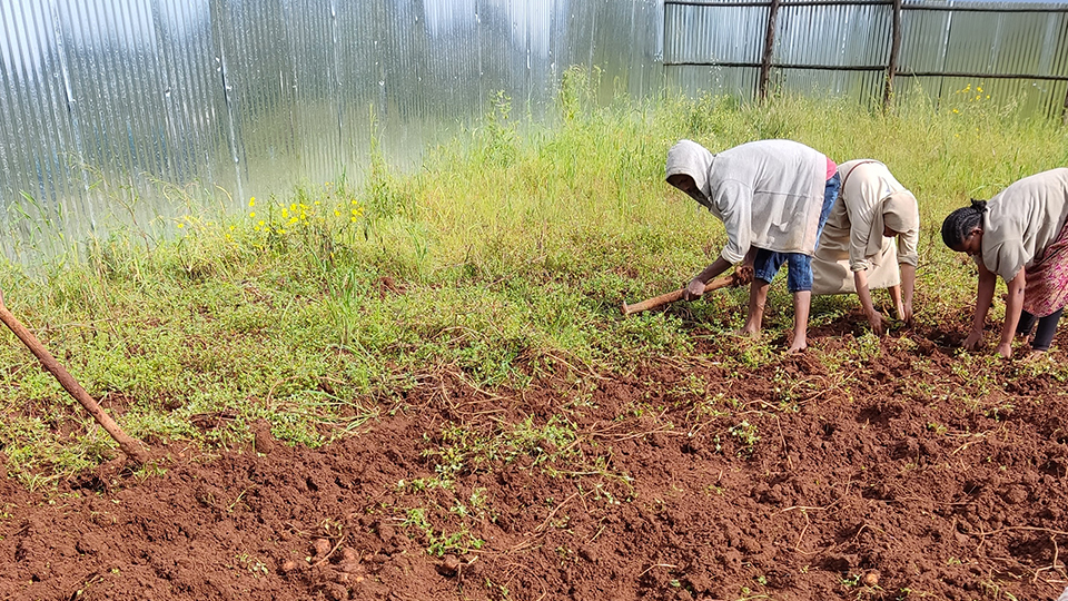 Persone al lavoro nel terreno dell’asilo