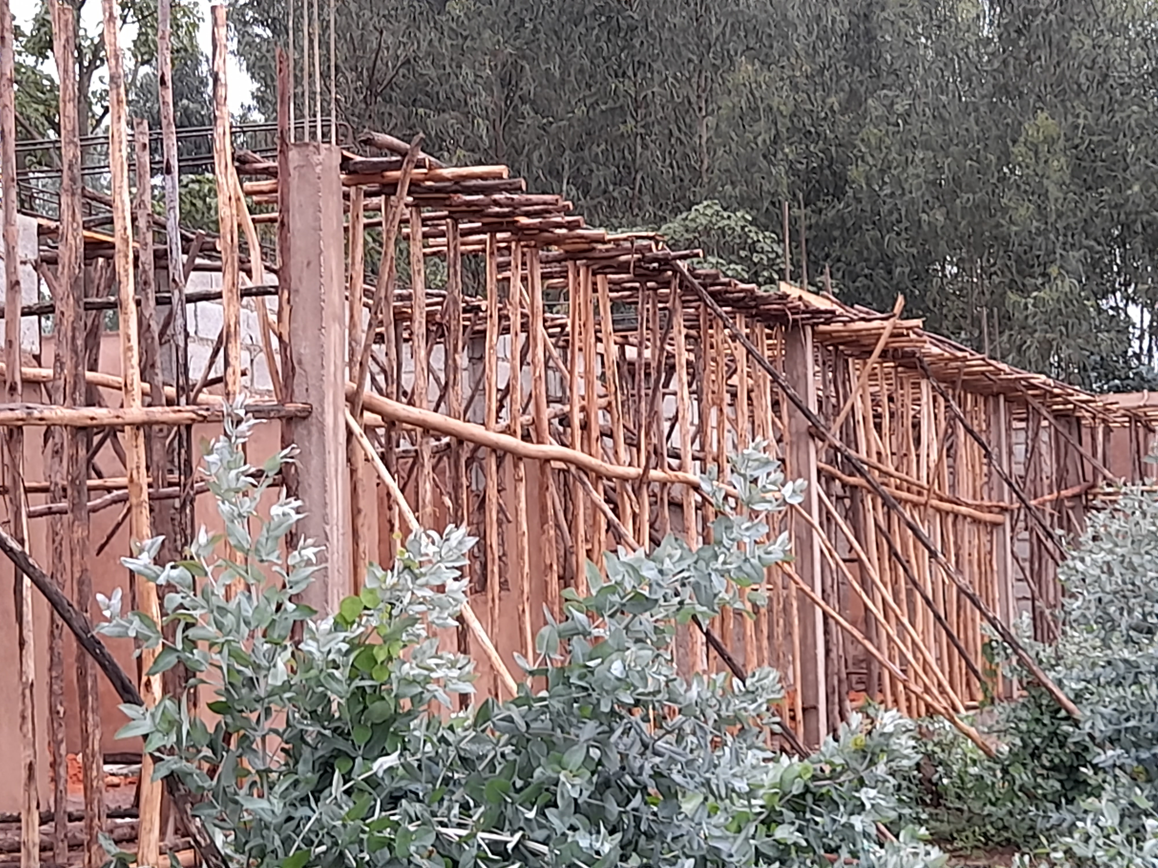 Parte costruzione asilo: armatura in legno delle pareti